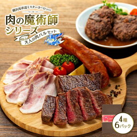 【ふるさと納税】肉の魔術師シリーズ　大人の肉バルセット【4種6パック入り】 | 肉 お肉 にく 食品 加工食品 人気 おすすめ 送料無料 ギフト