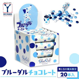【ふるさと納税】青と白の横浜限定　ブルーダルチョコレート（20本入） | お菓子　菓子 スイーツ チョコ 食品 おすすめ 送料無料