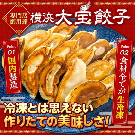 【ふるさと納税】全て国産食材、銘柄豚使用！肉汁あふれる！【横浜大宝餃子】もちもち国産ジャンボ大宝餃子120個（30個×4） | 老舗餃子メーカー 横浜中華 焼餃子 冷凍餃子 ギョーザ ぎょうざ 大きい 中華 おかず 惣菜 ギフト プレゼント