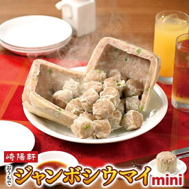【ふるさと納税】横浜名物 崎陽軒のおうちでジャンボシウマイmini | 大きな焼売 本格中華点心 簡単調理 豚肉 お取り寄せ 横浜グルメ 冷凍食品 送料無料 横浜市