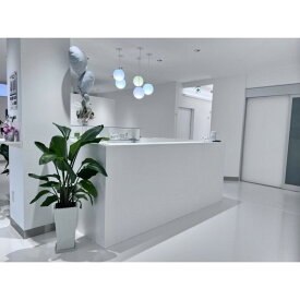 【ふるさと納税】S Clinic Yokohama 美容施術ギフト券￥10,000分 | 券 人気 おすすめ 送料無料