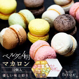 【ふるさと納税】【ベルグの4月】マカロン12個入 | 菓子 おかし スイーツ デザート 食品