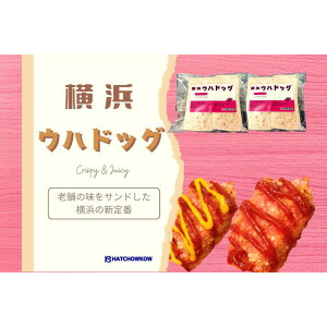 yӂ邳Ɣ[ŁzlEnhbO | ls x[J[ EnhbO l p  Ɛ O lό Hו  ʔ ӂ邳Ɣ[ lC  