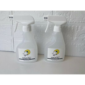 【ふるさと納税】強アルカリイオン洗浄水（300mL×2本） | 横浜市 クリーン アルカリイオン水 環境に優しい 除菌 洗浄力 ふるさと納税
