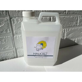 【ふるさと納税】強アルカリイオン洗浄水（2Lボトル×1本） | 横浜市 クリーン アルカリイオン水 環境に優しい 除菌 洗浄力 ふるさと納税