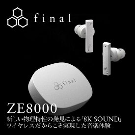 【ふるさと納税】final ZE8000　完全ワイヤレスイヤホン | 人気 おすすめ 送料無料