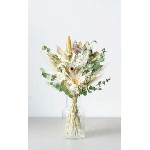 yӂ邳Ɣ[ŁzhCt[u[P ix[WEu[EO[ECG[EsN炨Iтj | t[ A vg lC  