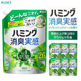 【ふるさと納税】【花王】ハミング消臭実感グリーン 詰替え950ml×6 | 洗濯 柔軟剤 消臭 抗菌 防カビ 花粉ブロック 消臭実感 日用品