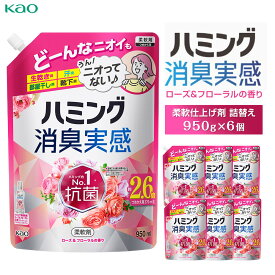 【ふるさと納税】【花王】ハミング消臭実感ローズ 詰替え950ml×6 | 洗濯 柔軟剤 消臭 抗菌 防カビ 花粉ブロック 消臭実感 日用品