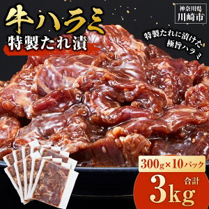 yӂ邳Ɣ[Łz󂠂 n~ ^Ђ 600g`3kg |   ֗  ē Ă   n~ Ă Ⓚ  t BBQ AEghA Lv lC  _ސ  