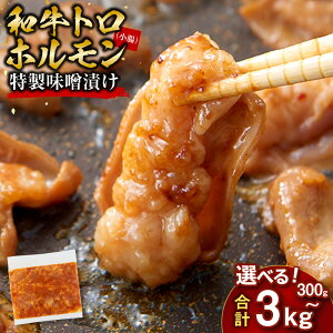 yӂ邳Ɣ[ŁzyeʑIzAagz@XЂ@300g`3kg(300g×10jyzIׂz | s    Ⓚ y ֗ u uߕ z