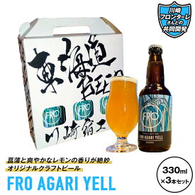 【ふるさと納税】川崎フロンターレさんとの共同開発「FRO AGARI YELL」3本セット | 楽天ふるさと 納税 神奈川県 神奈川 川崎 川崎市 支援 お礼の品 返礼品 特産品 名産品 ご当地 名産 ビール 酒 お酒 クラフトビール アルコール飲料 ご当地ビール お取り寄せ 飲み物 地ビール