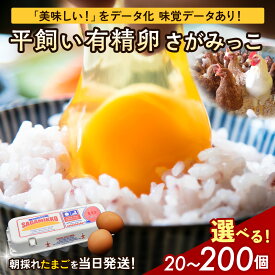 【ふるさと納税】井上さん家 こだわりたまご 平飼い有精卵 さがみっこ《かながわブランド認定》 ｜ 神奈川県 相模原市 たまご 卵 鶏卵 玉子 生卵 平飼い ケージフリー 有精卵 国産 濃厚 コク 旨味 卵焼き たまごかけご飯 朝食 ※離島への配送不可