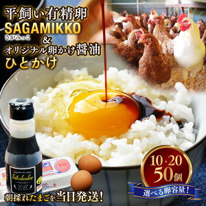 【ふるさと納税】卵かけご飯 相性抜群!【醤油セット】《かながわブランド認定》平飼い有精卵「さがみっこ」+オリジナル卵かけ醤油「ひとかけ」1本|平飼い ケージフリー 卵 有精卵 鶏卵