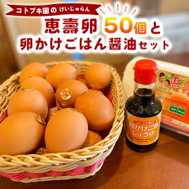【ふるさと納税】当社自慢の卵 恵壽卵 50個入り＋卵かけごはん醤油セット | 卵 たまご タマゴ けいじゅらん 鶏卵 玉子 国産 卵かけご飯 TKG 醤油 セット　※離島への配送不可