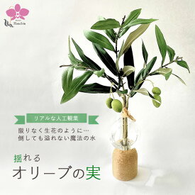 【ふるさと納税】倒してもこぼれないお水 癒しのグリーン「揺れるオリーブの実」光触媒