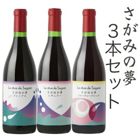 【ふるさと納税】【お中元】さがみの夢ワイン　飲みくらべ3本セット（「プレミアム」、「レギュラー」、「フルーティーブレンド」各1本）