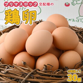 【ふるさと納税】鶏卵　プリマスロック（交配種）の卵　化粧箱入り30個