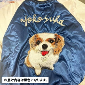 yӂ邳Ɣ[Łzyʌ5Zbgz UhJXJW ybg  yhuR[oX^WIzXJW { ߗ WPbg  ybg hJ IWi I[_[ t@bV [