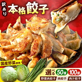 【ふるさと納税】【選べる種類＆個数】訳あり 本格 餃子 50~100個セット ぎょうざ 国産 ギョーザ わけあり 冷凍餃子 ジューシー 中華 セット 国産野菜 大容量 たっぷり【株式会社オウモリ食品】[AKHQ001]5千円 5000円 7千円 8千円 8000円