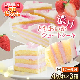 【ふるさと納税】【ホワイトデーCP】ドルチェケーキ とちあいかショート ケーキ 計12個（4個×3箱）カットケーキ ミニケーキ お菓子 スイーツ 贅沢 洋菓子 ケーキ いちご いちご【ファミール製菓株式会社】[AKCI022]