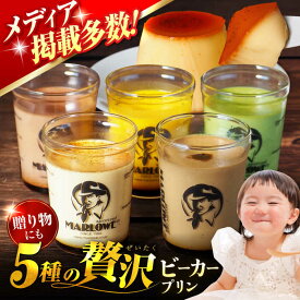 【ふるさと納税】【着日指定可】葉山 ビーカー おすすめプリン 180g×5個（かぼちゃ・エスプレッソ・抹茶・北海道フレッシュクリーム・チョコ）人気 スイーツ ぷりん【マーロウ】 [AKAF001]