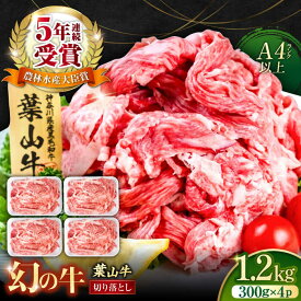【ふるさと納税】葉山牛 切り落とし300g×4パック 計1.2kg 小分け 便利 切り落とし 牛肉 横須賀 【株式会社羽根】[AKAG003]