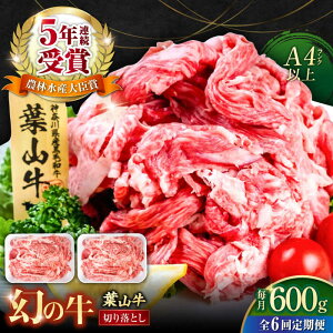 yӂ邳Ɣ[ŁzyS6ցztR ؂藎Ƃ300g×2pbN v600g Y  ؂藎Ƃ ؂ a Ⓚ јa Y a Ԑg 󏭕i  { Ă ₫ 