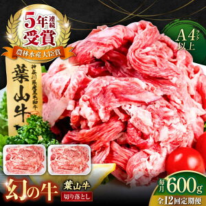 yӂ邳Ɣ[ŁzyS12ցztR ؂藎Ƃ300g×2pbN v600g Y  ؂藎Ƃ ؂ a Ⓚ јa Y a Ԑg 󏭕i  { Ă ₫ 
