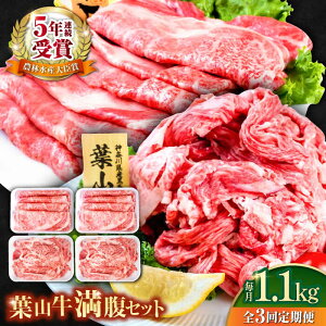yӂ邳Ɣ[ŁzyS3ցztRZbgi[Xėp250g×2{ؗ300g×2jY  ؂藎Ƃ [X ґ Zbg Ղ e 1L a Ⓚ јa
