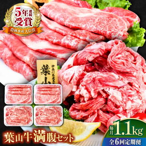 yӂ邳Ɣ[ŁzyS6ցztRZbgi[Xėp250g×2{ؗ300g×2jY  ؂藎Ƃ [X ґ Zbg Ղ e 1L a Ⓚ јa