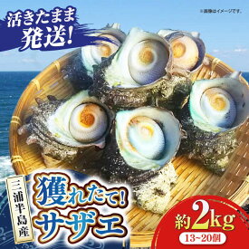 【ふるさと納税】三浦半島 サザエ 中サイズ 約2kg 13〜20個 さざえ バーベキュー BBQ 貝 直送 つぼ焼き 新鮮 直送 獲れたて 貝 魚貝類 魚介類 魚介 海鮮 新鮮 海の幸 貝 三浦半島 名産品 特産品【長井水産株式会社】[AKAJ005]