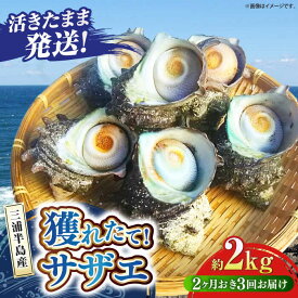 【ふるさと納税】【全3回 隔月 定期便】サザエ 2kg 13〜20個 三浦半島 さざえ バーベキュー BBQ 貝 直送 つぼ焼き 新鮮 獲れたて 魚貝類 魚介類 魚介 海鮮 海の幸 名産品 特産品 定期【長井水産株式会社】[AKAJ014]