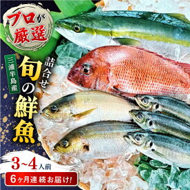 【ふるさと納税】【全6回定期便】旬のおまかせ 厳選鮮魚セット 3〜4人前(2〜3魚種) 三浦半島産 旬の鮮魚 詰め合わせ セット プロが厳選 横須賀 鮮度抜群 海の幸 生魚 定期 海鮮 魚介 獲れたて【長井水産株式会社】[AKAJ016]