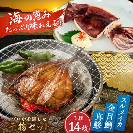 【ふるさと納税】三浦半島 干物セット14枚 金目鯛3枚 真鯵8枚 スルメイカ3枚 プロが厳選 ひもの 詰め合わせ 鉄板の組み合わせ きんめ あじ するめ 開き干し 朝食 人気 3種 産地直送 冷凍便【長井水産株式会社】[AKAJ021]