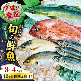 【ふるさと納税】【全12回定期便】旬のおまかせ 厳選鮮魚セット 3〜4人前(2〜3魚種) プロが厳選 三浦半島産 旬 鮮魚 おまかせ 詰め合わせ 冷蔵便 定期 鮮魚 海の幸 魚介 海鮮 新鮮 産地直送 【長井水産株式会社】[AKAJ023]