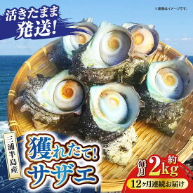 【ふるさと納税】【全12回定期便】サザエ 2kg 13〜20個 三浦半島 さざえ バーベキュー BBQ 貝 直送 つぼ焼き 新鮮 獲れたて 魚貝類 魚介類 魚介 海鮮 海の幸 名産品 特産品 定期【長井水産株式会社】[AKAJ024]