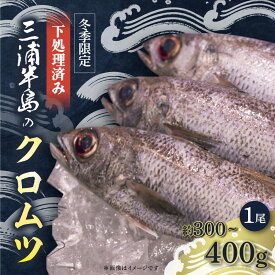 【ふるさと納税】【先行予約】【冬季限定】下ごしらえ済 クロムツ 約300〜400g　1尾 鮮魚 処理済み 下処理済み【長井水産株式会社】[AKAJ030]