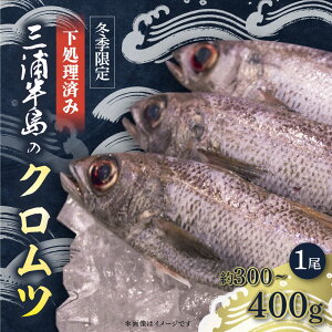 yӂ邳Ɣ[Łzys\zy~Gz炦 Nc 300`400g@1 N ς ς݁y䐅YЁz[AKAJ030]