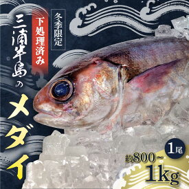 【ふるさと納税】【先行予約】【冬季限定】下ごしらえ済 メダイ 約800g〜1kg 鮮魚 処理済み 下処理済み 【長井水産株式会社】[AKAJ031]