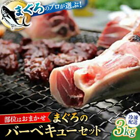 【ふるさと納税】まぐろ おまかせ バーベキュー セット 約3kg プロ 厳選 希少【横須賀商工会議所 おもてなしギフト事務局（本まぐろ直売所 横須賀本店）】メバチマグロ 目鉢まぐろ メバチ マグロ 鮪 BBQ 冷凍 大容量 たっぷり[AKAK004]