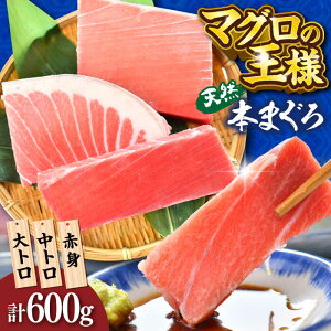yӂ邳Ɣ[ŁzVR {܂ gEgEԐg 200g×3 600gy{ꏤHc ĂȂMtgǁi{܂뒼 {{XjzVR܂ ܂ }O  Ƃ 
