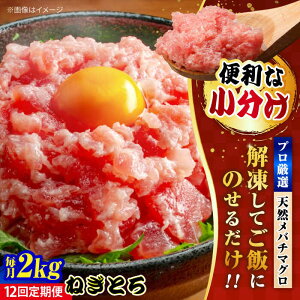 yӂ邳Ɣ[ŁzyS12ցz܂ ˂Ƃ 2kgi250g×8pbNj  }O  lMg {y{ꏤHc ĂȂMtgǁi{܂뒼 {{Xjz[AKAK04