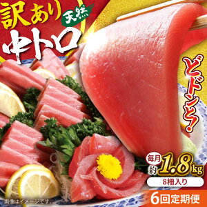 yӂ邳Ɣ[ŁzyS6ցzy󂠂zVR ܂ g o` v1.8kg (8) }O   ܂ Ƃ hg  { KiO y{ꏤHc ĂȂMtg