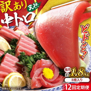 yӂ邳Ɣ[ŁzyS12ցzy󂠂zVR ܂ g o` v1.8kg (8) }O   ܂ Ƃ hg  { KiO y{ꏤHc ĂȂMtg