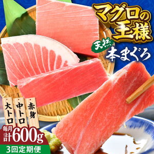 yӂ邳Ɣ[ŁzyS3ցzVR {܂ gEgEԐgi200g×3j600g  }O  hg { y{ꏤHc ĂȂMtgǁi{܂뒼 {{