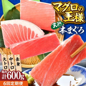 yӂ邳Ɣ[ŁzyS6ցzVR {܂ gEgEԐgi200g×3j600g  }O  hg { y{ꏤHc ĂȂMtgǁi{܂뒼 {{