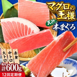 yӂ邳Ɣ[ŁzyS12ցzVR {܂ gEgEԐgi200g×3j600g  }O  hg { y{ꏤHc ĂȂMtgǁi{܂뒼 {