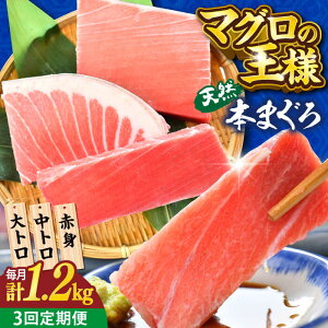 yӂ邳Ɣ[ŁzyS3ցzVR {܂ gEgEԐgi200g×6j1200g  }O  hg {y{ꏤHc ĂȂMtgǁi{܂뒼 {{