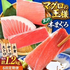 yӂ邳Ɣ[ŁzyS6ցzVR {܂ gEgEԐgi200g×6j1200g  }O  hg { y{ꏤHc ĂȂMtgǁi{܂뒼 {